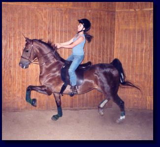 Sand's Incredible Heiress, aka Gracie with beginner student, Sarah Jones, up