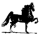 English Riding Lessons (1105 bytes)