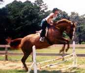 Jumping at Peavine Creek's Riding Camp Program (8058 bytes)