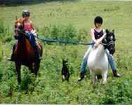 Horseback Games at Peavine Creek's Riding Camp Program (5626 bytes)