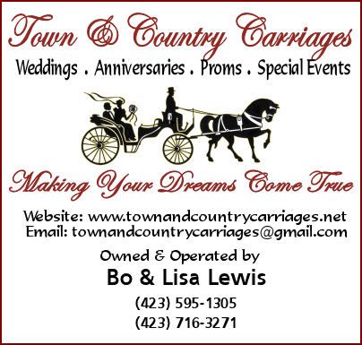 Town & Country Carriages