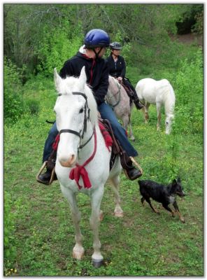 Trail Riders at Peavine Creek Farm and Stables
